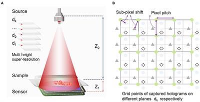 Autofocusing Algorithm for Pixel-Super-Resolved Lensfree On-Chip Microscopy